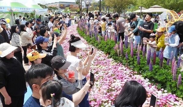 전남 방문의 달 행사- 함평나비축제