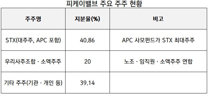 자료출처_금융감독원