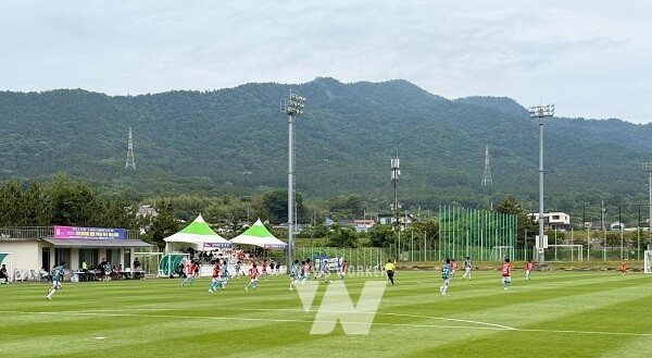 강진청자배 축구 페스티벌이 진행되고 있는 모습