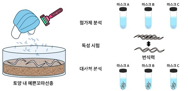 그림_일회용 마스크 유래 미세플라스틱의 토양 독성