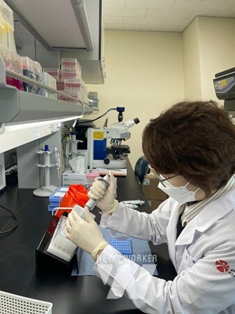 감기 바이러스 검출