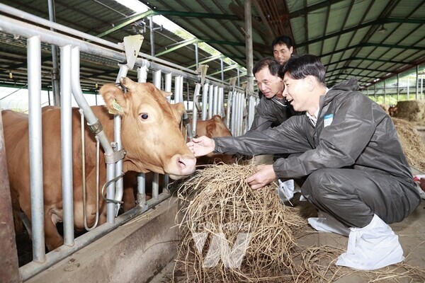 김철우 군수가 모판을 함께 보고 있다. 1-2. 보성에서 가을에 추수하는 모습 1-3. 김철우 군수 수매현장 방문 1-4. 첫 모내기를 하고 있다1-5. 청정 보성의 혈통우1-6. 김철우 군수가 축사를 방문해 소 먹이를 주고 있다