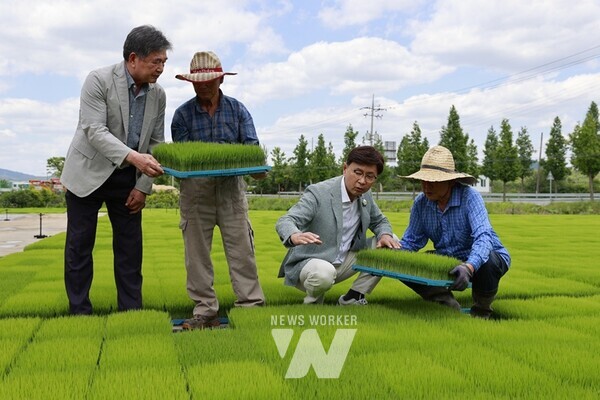 김철우 군수가 모판을 함께 보고 있다. 1-2. 보성에서 가을에 추수하는 모습 1-3. 김철우 군수 수매현장 방문 1-4. 첫 모내기를 하고 있다1-5. 청정 보성의 혈통우1-6. 김철우 군수가 축사를 방문해 소 먹이를 주고 있다