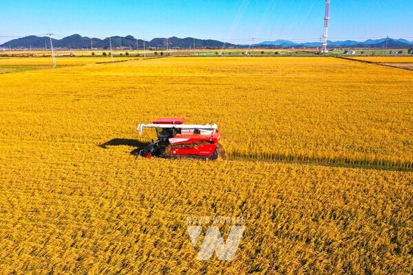 김철우 군수가 모판을 함께 보고 있다. 1-2. 보성에서 가을에 추수하는 모습 1-3. 김철우 군수 수매현장 방문 1-4. 첫 모내기를 하고 있다1-5. 청정 보성의 혈통우1-6. 김철우 군수가 축사를 방문해 소 먹이를 주고 있다