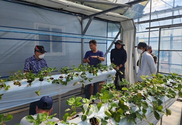 전남 해남군 귀농귀촌 인구가 6년간 8,331가구, 9,444명에 이르고 있어 귀농귀촌 1번지로서의 위상을 새롭게 하고 있다.