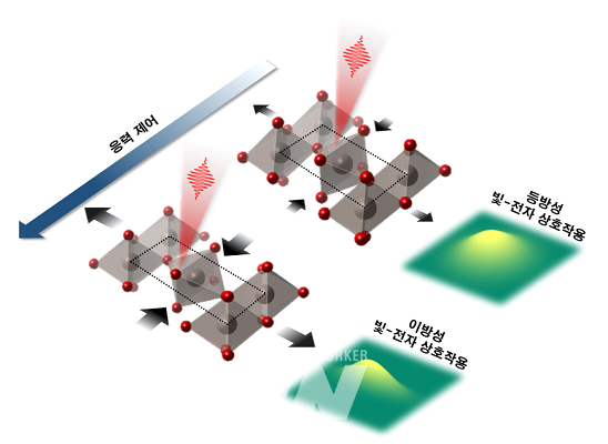 루테늄 산화물에 대한 응력 조절을 통한 빛-전자 상호작용의 이방성 조절