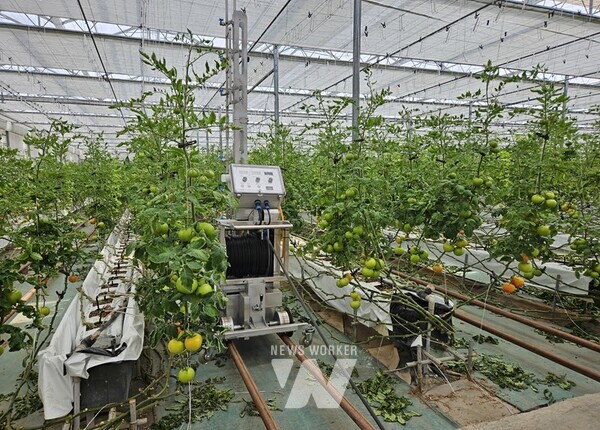 함평군은 최근 농촌진흥청 원예특작 신기술 보급 시범사업의 일환으로 ‘상하 흔들식 자동약제살포시스템’을 이용한 무인방제장치 5대를 농가에 보급했다