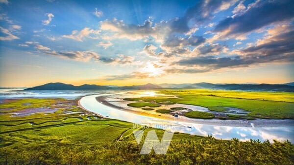 용산전망대에서 바라본 순천만습지