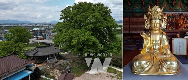 전남도 지정유산- 곡성 영수정 일원,화순 용암사 목조보살좌상