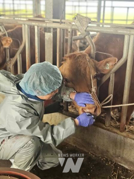 전남동물위생시험소, 여름철 가축질병 신고센터 운영