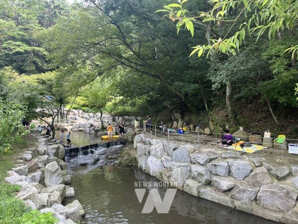 영광 유일의 계곡, 대마 안골 7월 19일 개장