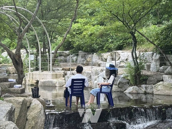 영광 유일의 계곡, 대마 안골 7월 19일 개장