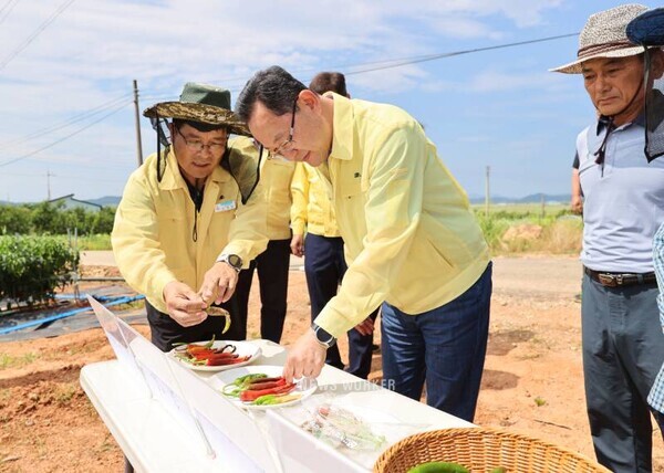 명현관 해남군수는 11일, 짧은 장마로 인한 때 이른 폭염과 가뭄이 발생할 것으로 우려됨에 따라 멸구류 및 가뭄 피해 우려 현장을 방문했다
