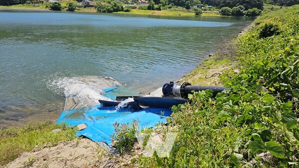 농업용 저수지 점검- 장성 죽림제