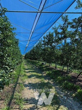 재해예방시설- 차광망 설치