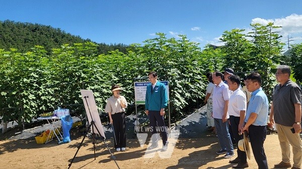 청무화과 실증농가 방문