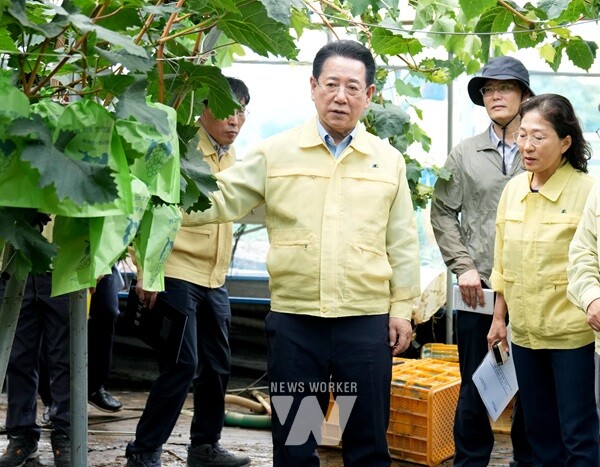 김영록 지사, 나주 동강면 원예작물 침수 피해현장 방문