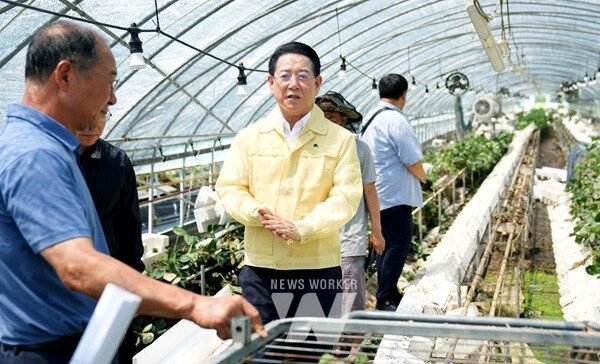 김영록 전라남도지사가 20일 오후 담양 봉산면 딸기육묘 시설하우스 침수 피해현장을 방문, 피해상황을 점검하고 시설 조속 복구 등을 지시하고 있다.