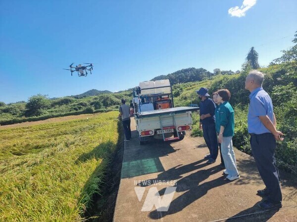 전남 해남군이 본격적인 벼 출수기를 앞두고 병해충 사전 방제 지도에 총력을 기울이고 있다.