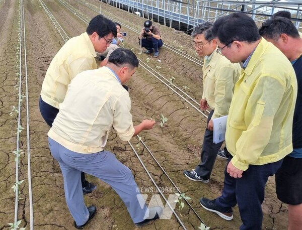강상구 나주부시장과 농촌진흥청 관계자들이 생육 작물 상태를 점검하고 있다. (사진제공-나주시)