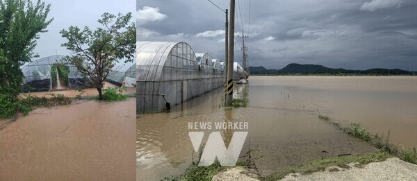 집중호우 피해-곡성, 나주 동강면