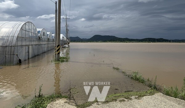 호우피해 현장- 나주 동강면 벼 및 딸기하우스 침수