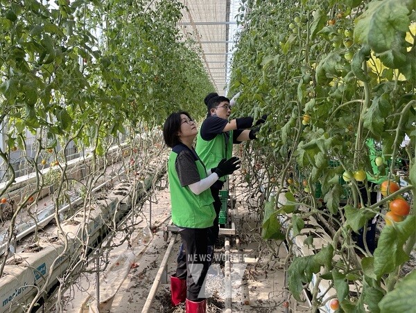 aT 집중호우 피해 농가 복구에 두 팔 걷어