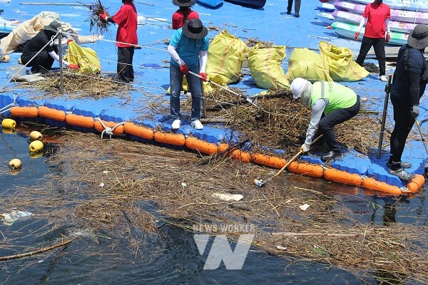 여수세계박람회장 일대 해안 정화활동 실시