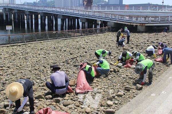 여수세계박람회장 일대 해안 정화활동 실시