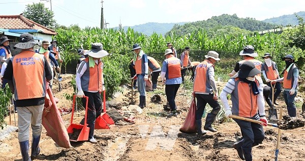 경기도 가평 봉사활동(한전 직원)