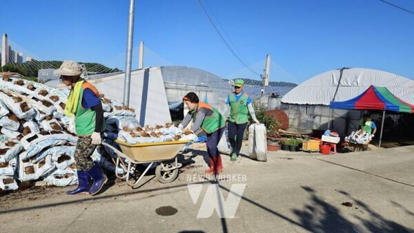 광주광역시자율방재단연합회는 지난 27일 집중호우로 피해를 입은 광산구 농가를 찾아 복구 활동을 펼쳤다.