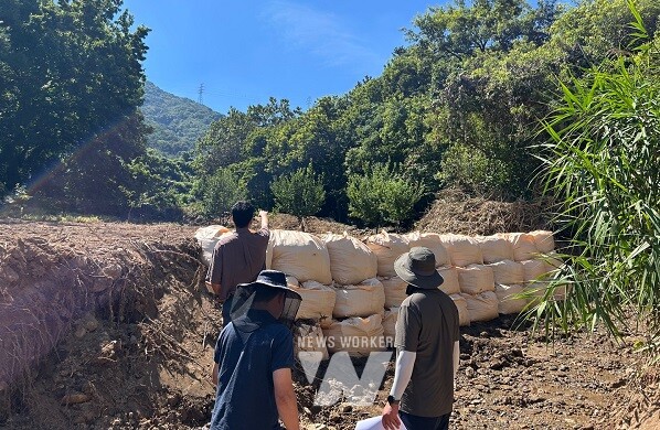 중앙합동조사단