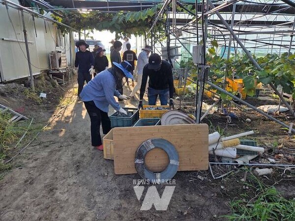 전남 영광군(군수 장세일)은 지난 17일부터 19일까지 기록적인 폭우로 인해 심각한 피해를 입은 관내 시설원예 농가를 대상으로 피해복구 일손 돕기를 전개했다.
