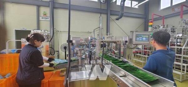 진도군농업기술센터, 대파 흑색썩음균핵병 저감 특허 미생물(버크홀데리아 파이로시니아) 공급 추진