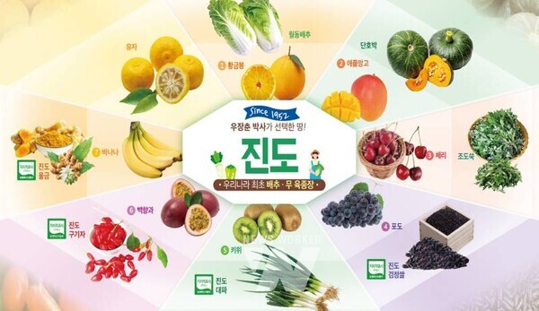 최근 진도군은 농산물 홍보 전단지(리플릿)를 제작해 온오프라인 홍보를 하며 판로 확보에 나서고 있다.