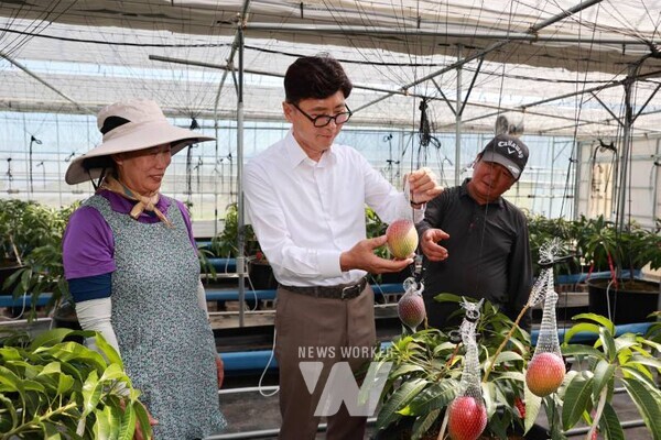 김철우 보성군수가 무더위 쉼터를 점검하고 있다 1-2. 김철우 보성군수가 무더위 쉼터를 점검하고 있다 1-3. 김철우 보성군수가 야외근로자 현장점검을 하고 있다1-4. 김철우 보성군수가 폭염대비 민생현장을 방문하고 있다 1-5. 김철우 보성군수가 폭염·폭우대비 복숭아 농장을 방문했다