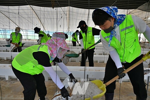 농협광주본부(본부장 이현호)가 5일 광산구 본량농협(조합장 정상윤) 관할 지역의 집중호우 피해 농가를 방문해 수해복구 일손 돕기에 나섰다