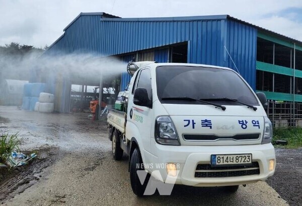전남 함평군이 집중호우로 피해를 입은 축산농가의 2차 피해 예방을 위해 긴급 방역 활동에 나섰다.