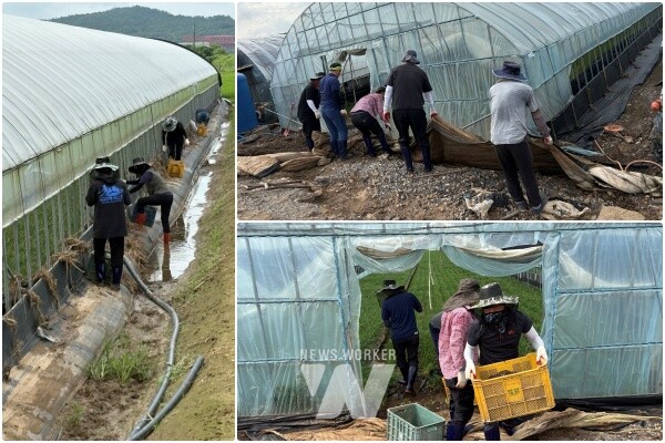 토사 및 오염물 제거,비닐하우스 복구 작업