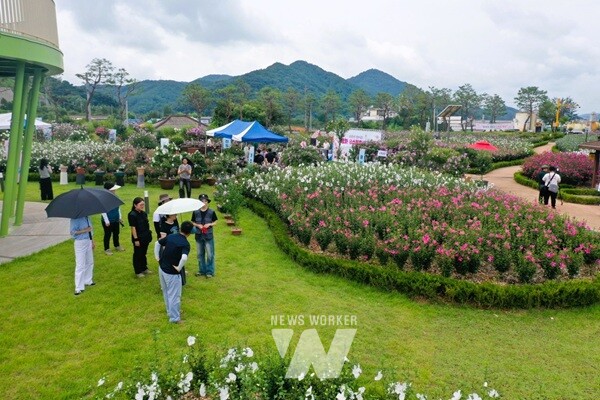 장성무궁화공원