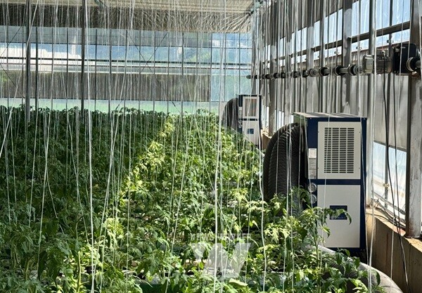 폭염대응- 냉방기