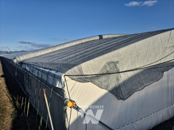 폭염대응- 차광막