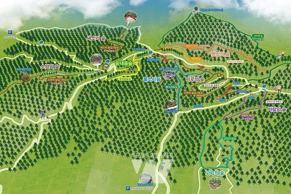 축령산 홍보 리플릿