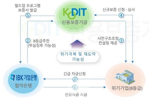 빌드업 프로그램 연계지원 구조도