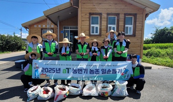 전남 나주 농촌 일손 돕기 현장
