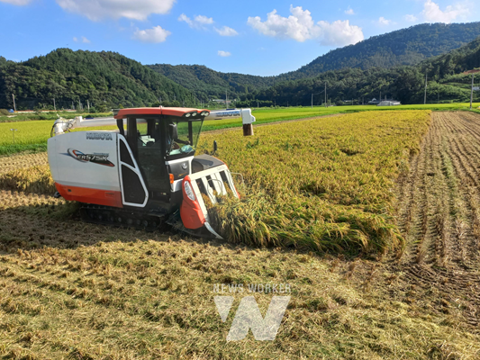 전남 장흥군은 지난 24일 장흥읍 연산리 일원에서 올해 첫 벼 수확이 이루어졌다.