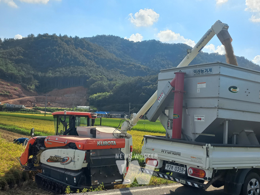 전남 장흥군은 지난 24일 장흥읍 연산리 일원에서 올해 첫 벼 수확이 이루어졌다.