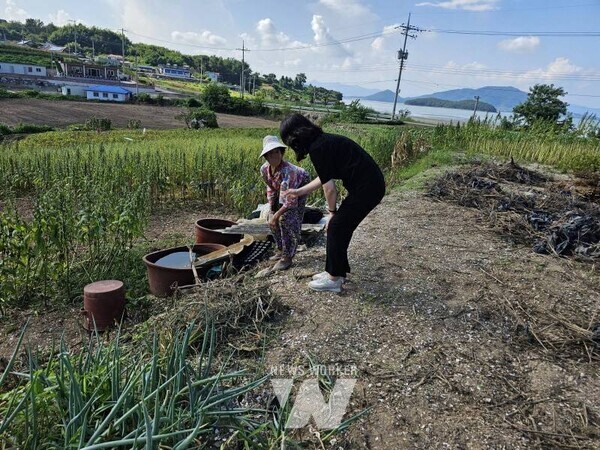 전남 고흥군(군수 공영민)은 폭염 장기화로 인한 인명피해를 예방하고 취약계층을 보호하기 위해 지난 7월 2일부터 읍·면과 합동으로 비상근무 체계를 가동하며 폭염 대응 활동을 강화하고 있다