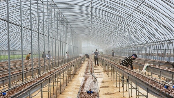 전남바이오진흥원, 수해 피해 농가 찾아 ‘ESG 지역사회공헌’ 실천