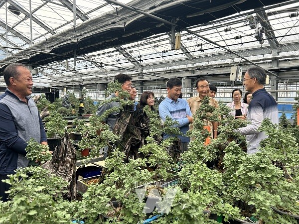 전국적 위상 ‘함평 국화’…익산시, 함평군 선진 기술 견학(함평군농업기술센터)